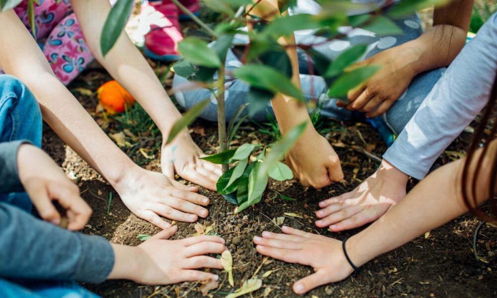 Pessoas plantando árvore