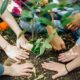 Pessoas plantando árvore