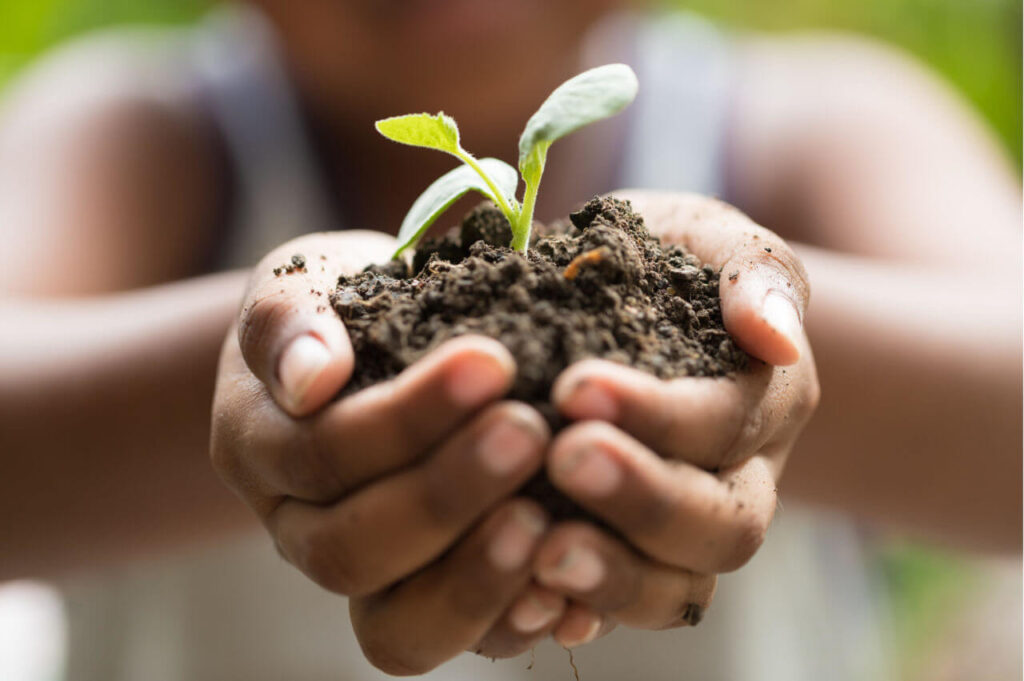 Pelo conceito “Slow Kids”, são três as intervenções para o incentivo ao contato da criança com a natureza: Espiral de Ervas, oficina de horta e de sementes mágicas