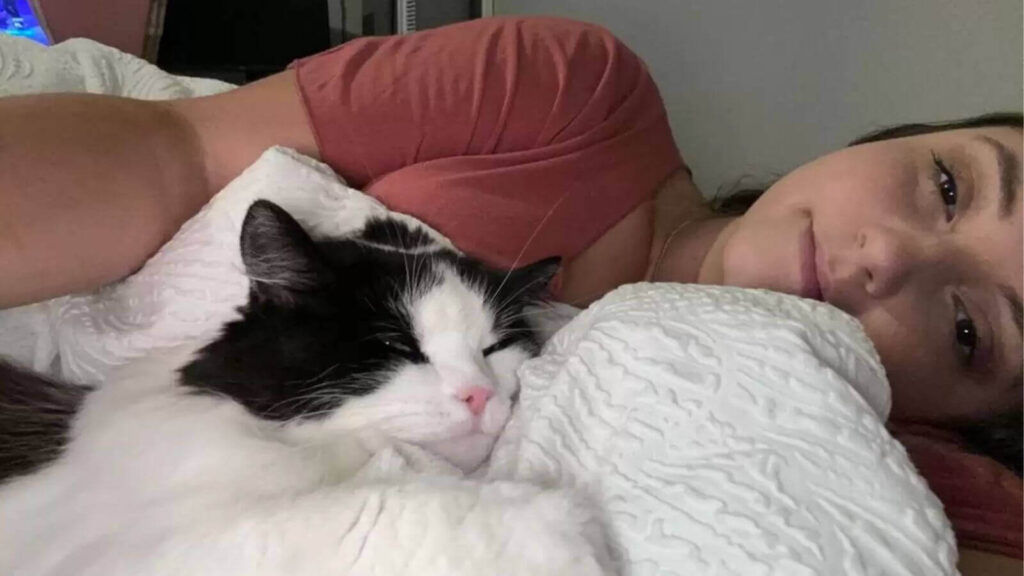 Gato deitado com mulher
