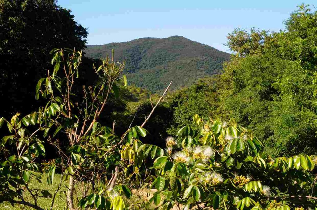 Jundiaí é protegida pela Serra do Japi, que ocupa cerca de 35 mil hectares do território