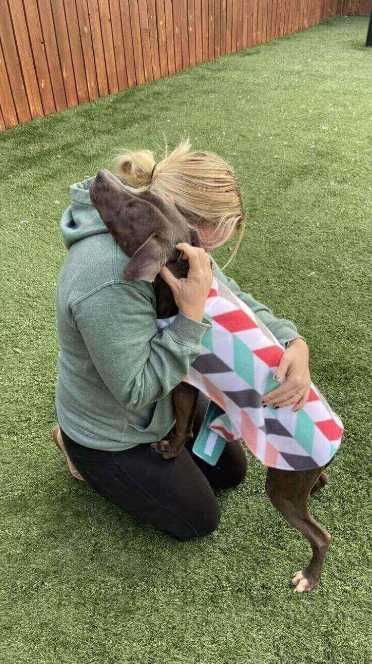Mulher abraçando cachorro