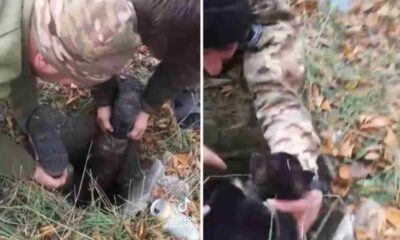 Soldados salvando cachorro de poço na Ucrânia