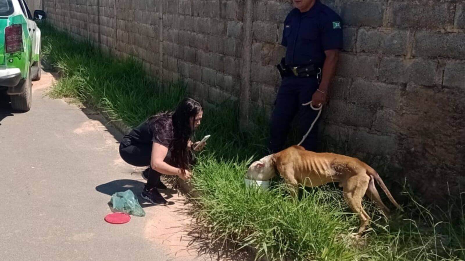 Guarda de Campo Limpo Paulista resgata cachorro