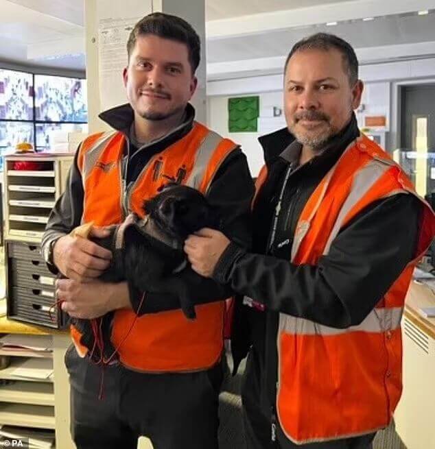Maquinistas resgatam cachorro em linha de trem