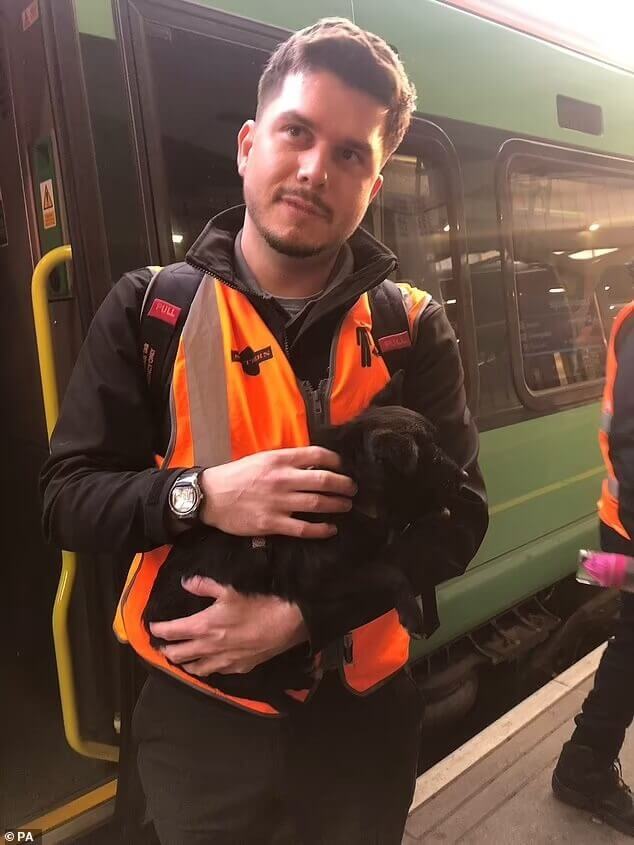 Maquinistas resgatam cachorro em linha de trem