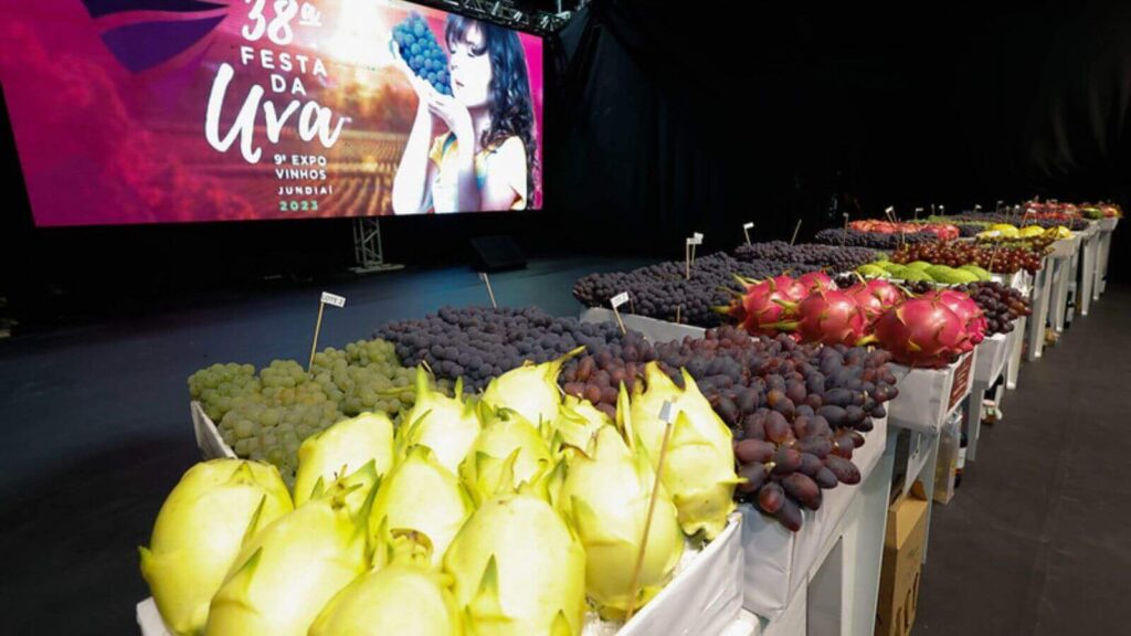 Frutas expostas na Festa da Uva