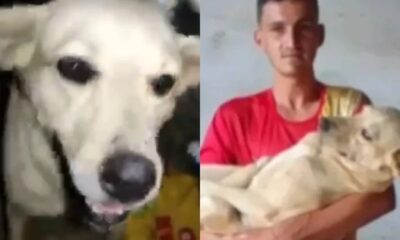 Homem encontra cachorro desaparecido em bloco de carnaval