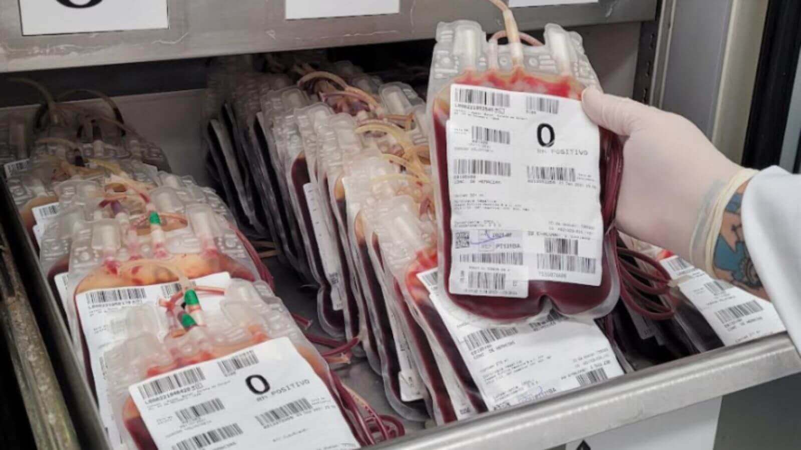 Bolsas de doação de sangue da Colsan de Jundiaí