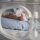 Bebê em incubadora