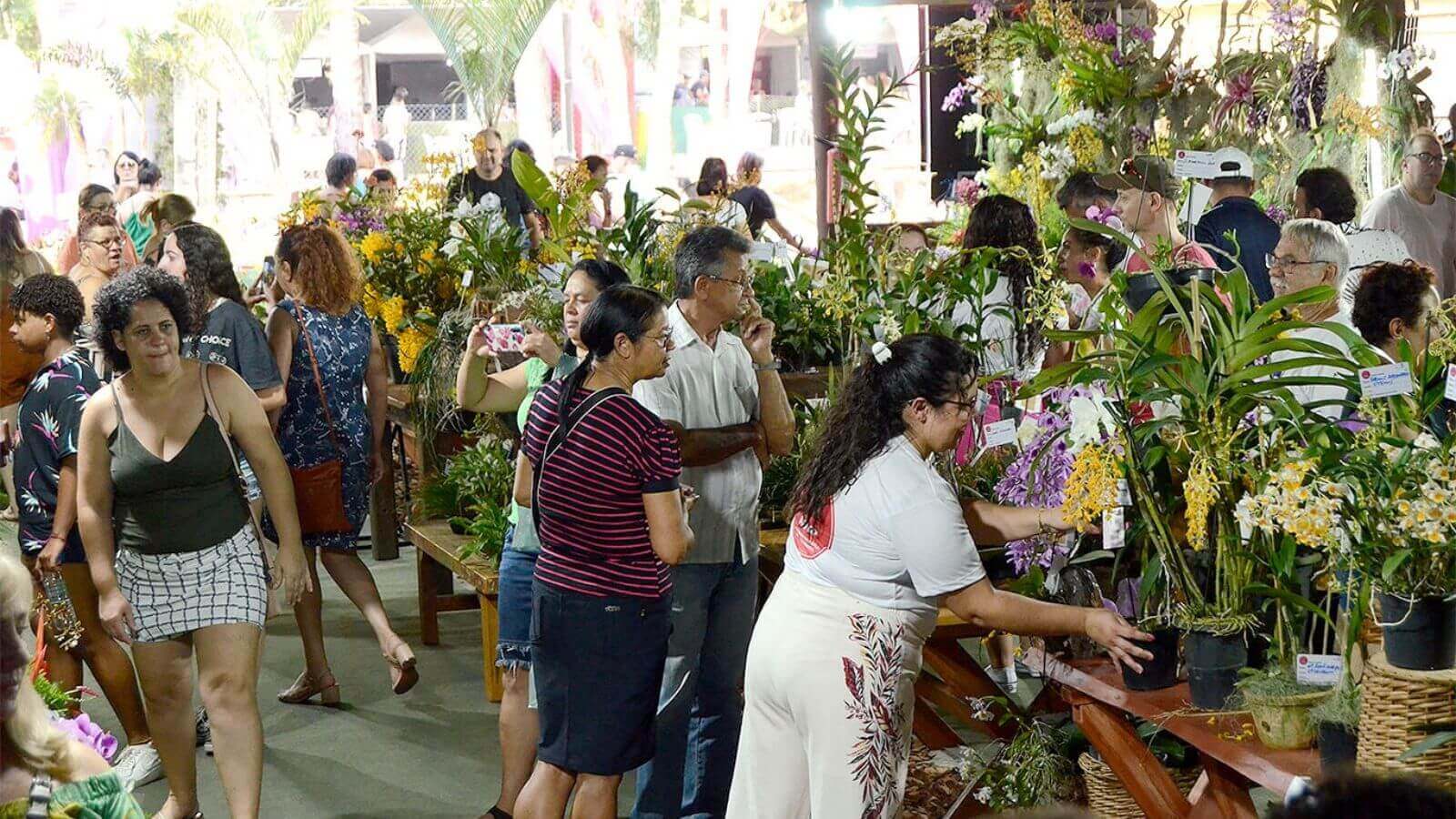Festa das Orquídeas de Várzea Paulista