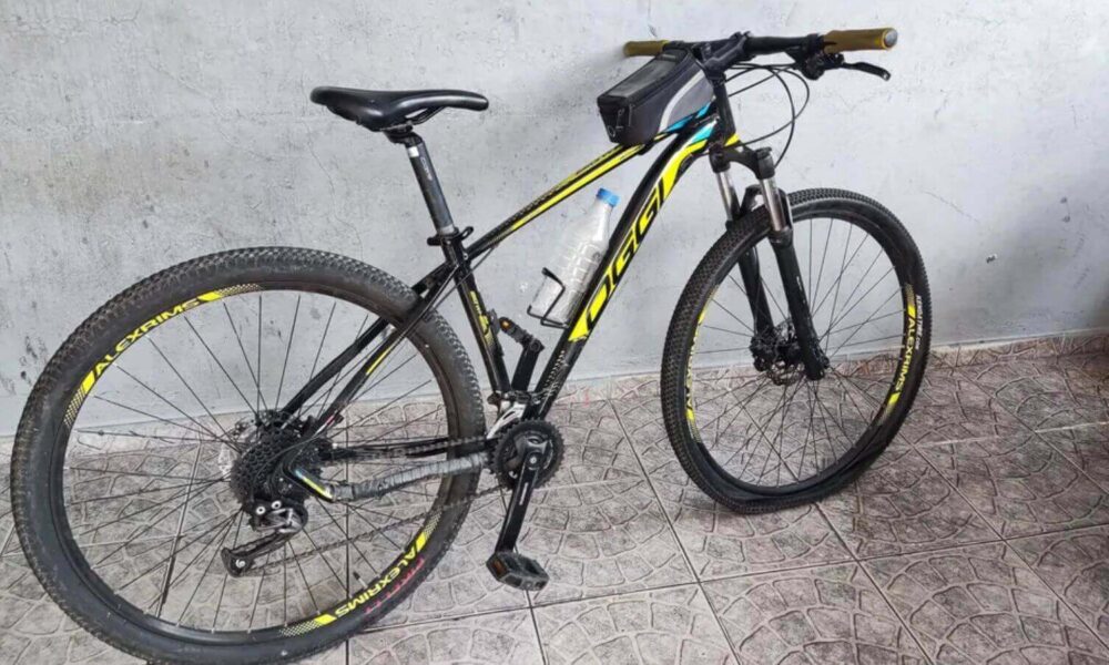Polícia Civil detém adolescente por furtos de bicicletas em Jundiaí