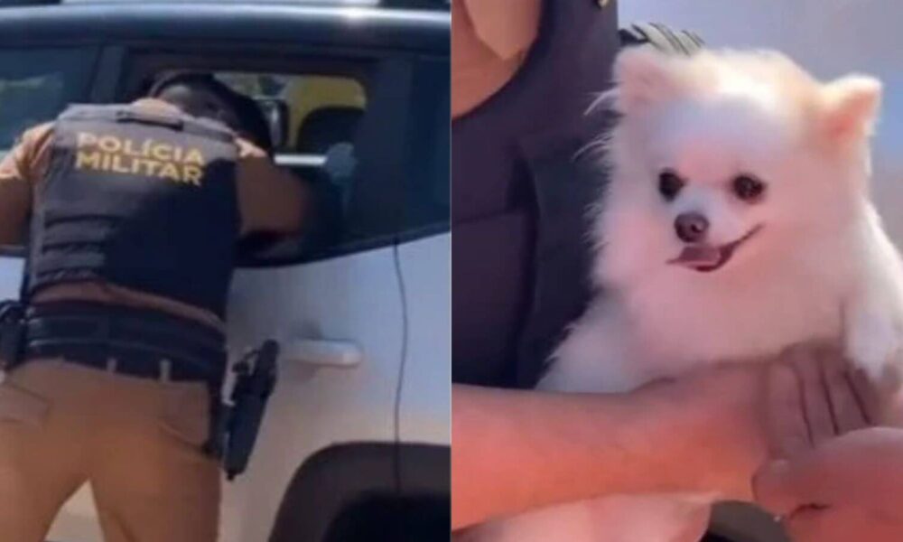 Polícia salva cachorro preso em carro sob o sol escaldante