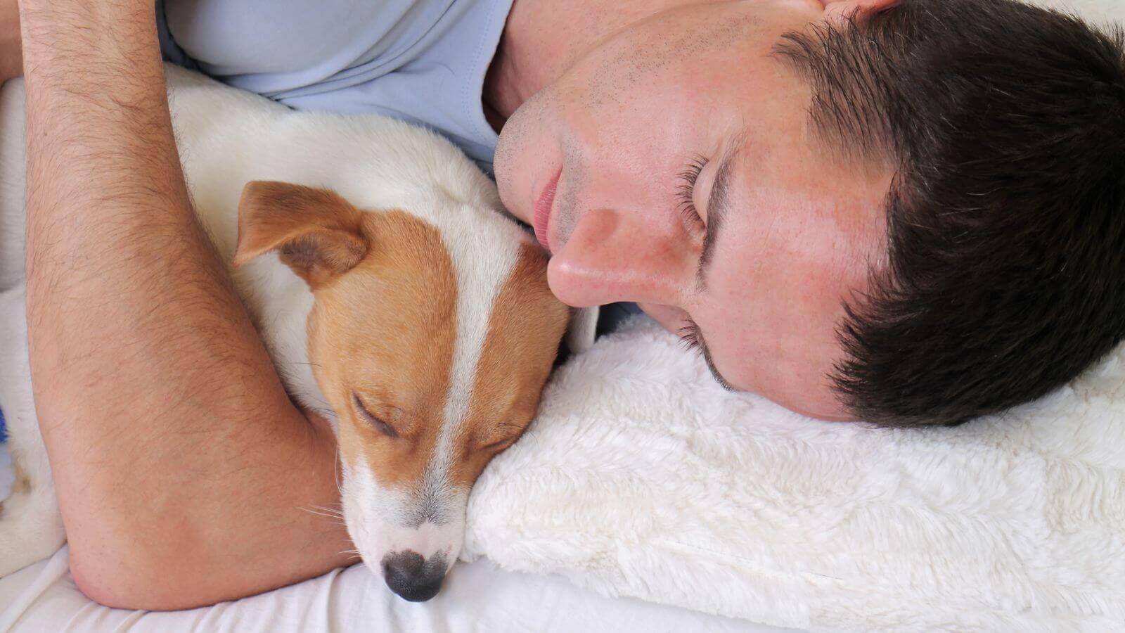 Homem dormindo com cachorro