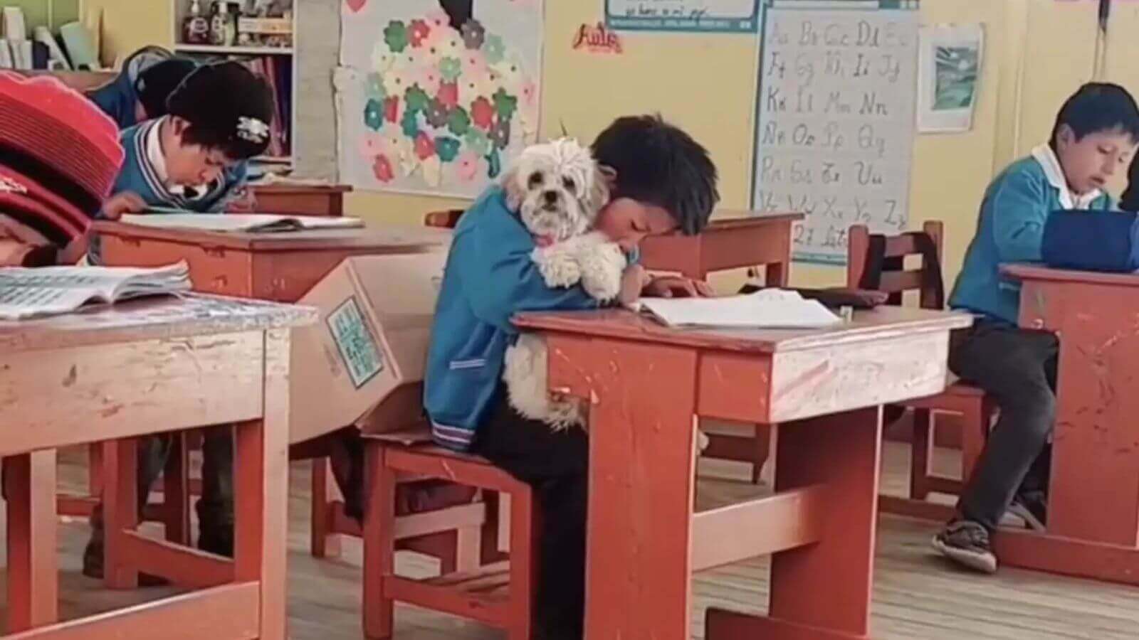 Cachorro vai para a escola com o tutor e ensina lição importante de amor