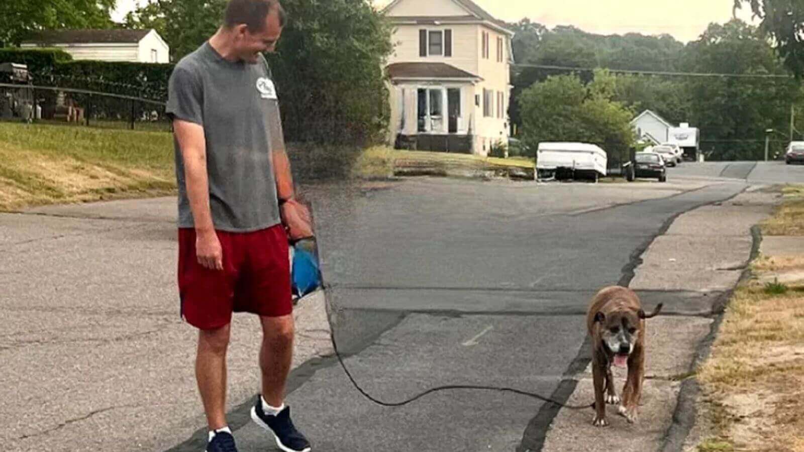 Cachorro com câncer reúne vizinhos para sua última caminhada