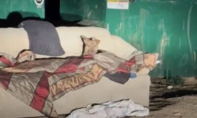 Cachorro é resgatado após passar noites tremendo de frio em sofá no lixo