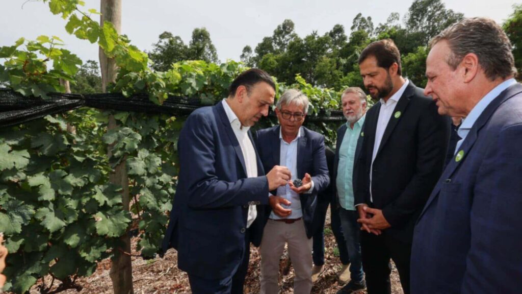 Prefeitura e Governo do Estado entregam Centro de Viticultura e Enologia de Jundiaí