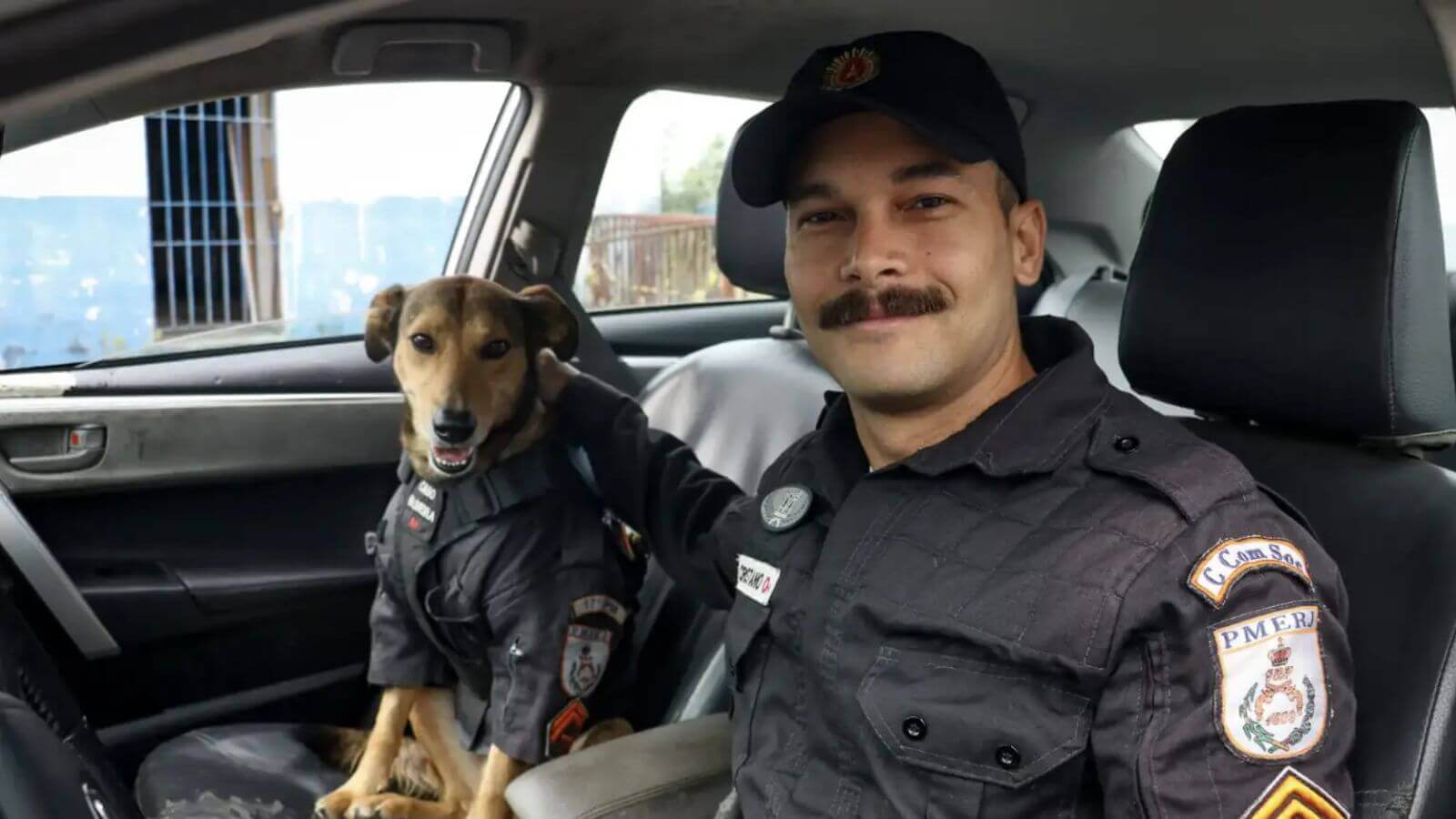 Cachorro Adotado Por Policiais Se Torna Mascote Oficial Do Batalhão 