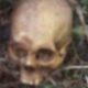 Crânio humano é encontrado em Jundiaí