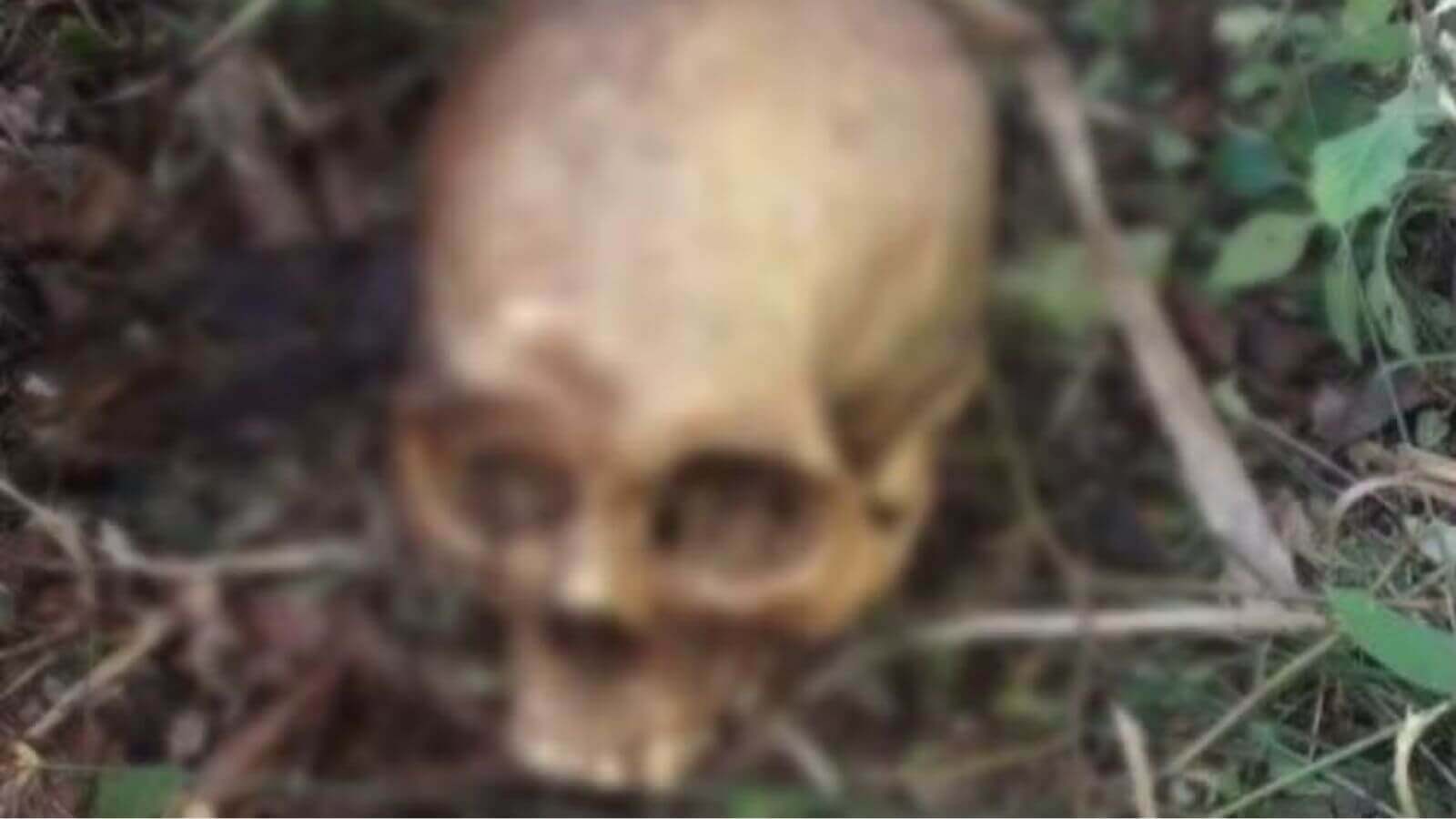 Crânio humano é encontrado em Jundiaí