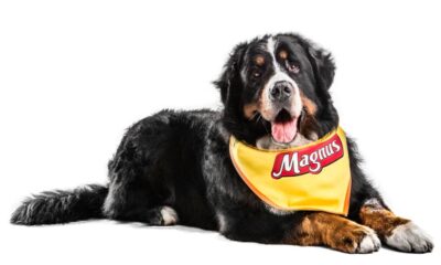 Cão Magnus