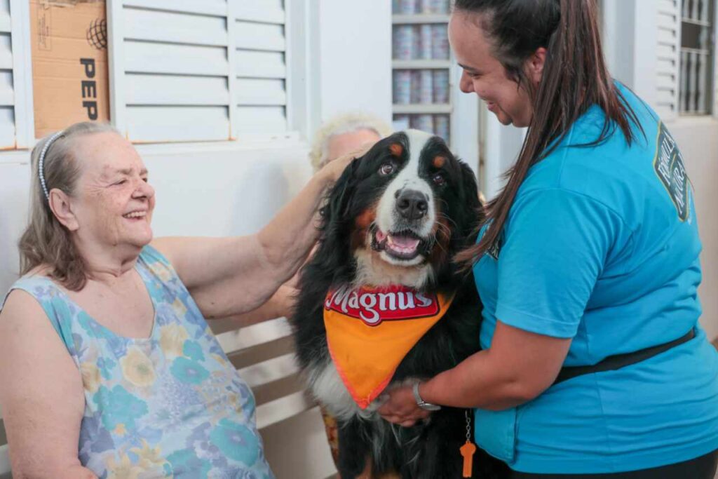 Cão Magnus visita idosos na Cidade Vicentina em Jundiaí