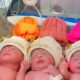 Trigêmeas recém-nascidas, Lorena, Luiza e Lavínia, deitadas lado a lado na maternidade do Hospital Universitário de Jundiaí com gorros coloridos.