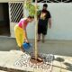 Mulher regando uma árvore recém-plantada em frente a uma casa. Ela está usando uma blusa rosa e calças amarelas, enquanto segura um regador azul. Um homem, que parece observá-la, está ao fundo, vestindo uma camiseta preta com uma estampa colorida e bermuda preta. A área ao redor da base da árvore é coberta com pedras brancas.