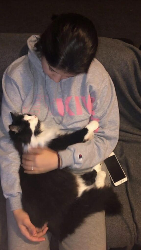 Menina segurando gato preto e branco no colo
