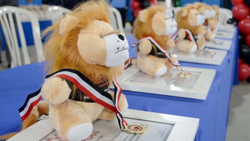 Leões de pelúcia do PROERD com medalhas em cima de mesa