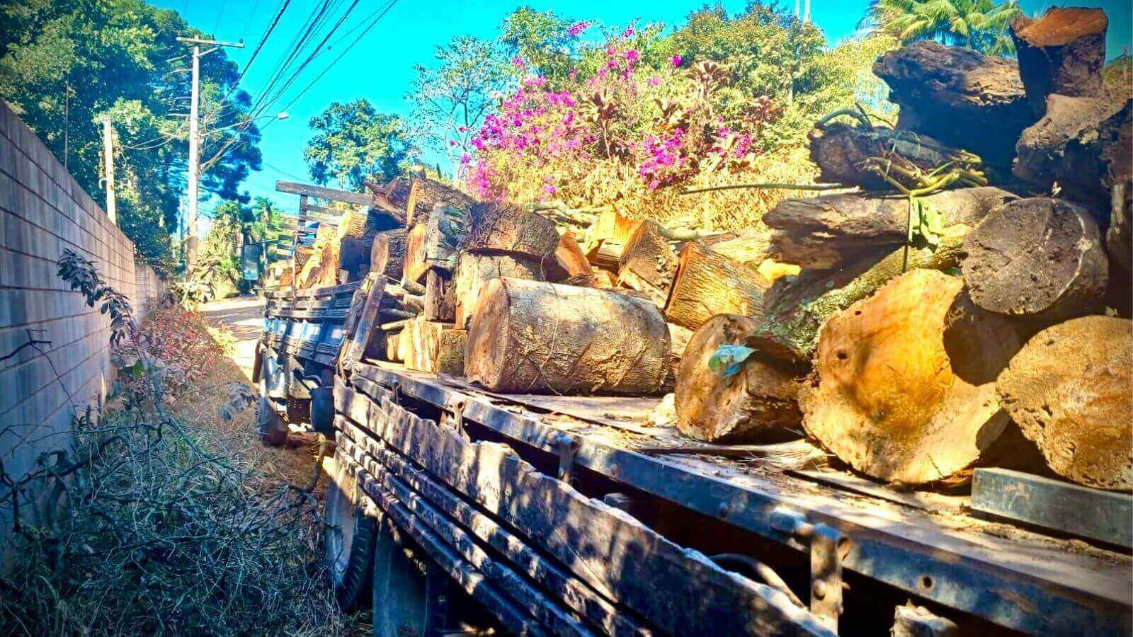 Caminhão com madeira proveniente de corte ilegal de árvores, flagrado pela Guarda de Várzea Paulista