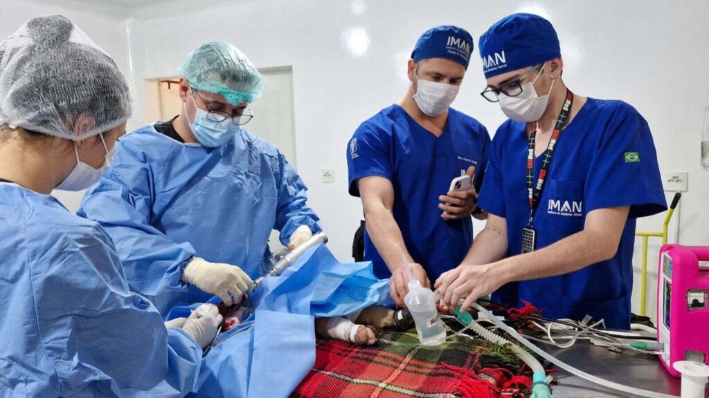 Cirurgiões durante operação de tamanduá-mirim na Mata Ciliar.