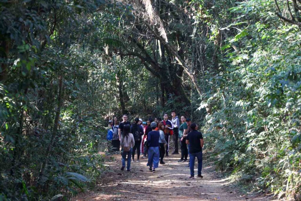 Grupo de crianças e jovens caminhando em trilha na Serra do Japi, rodeados por vegetação densa e com monitores supervisionando.