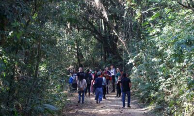 Grupo de crianças e jovens caminhando em trilha na Serra do Japi, rodeados por vegetação densa e com monitores supervisionando.
