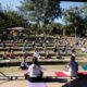 aula de yoga em Jundiaí no Parque da Cidade, com dezenas de praticantes ao ar livre em um anfiteatro.