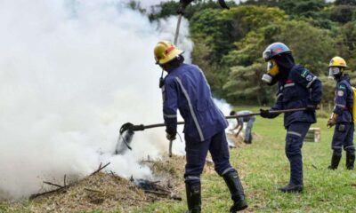 Agentes da Defesa Civil de Jundiaí controlando incêndios em área de mata