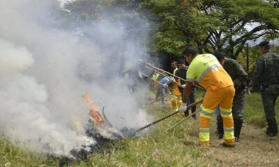 Homens de órgãos municipais combatendo incêndio em área de mata em Jundiaí.