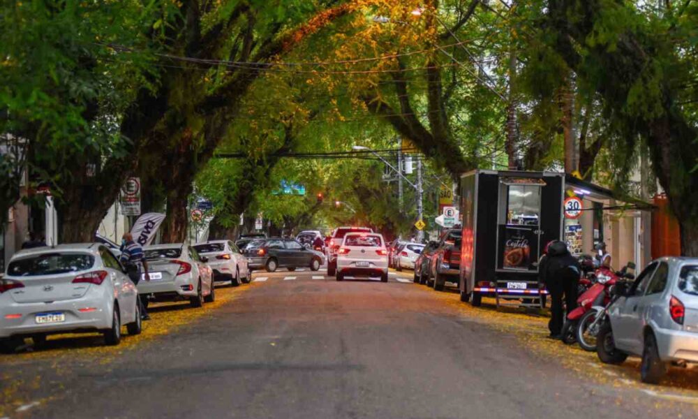 As árvores da Rua Anchieta, em Jundiaí