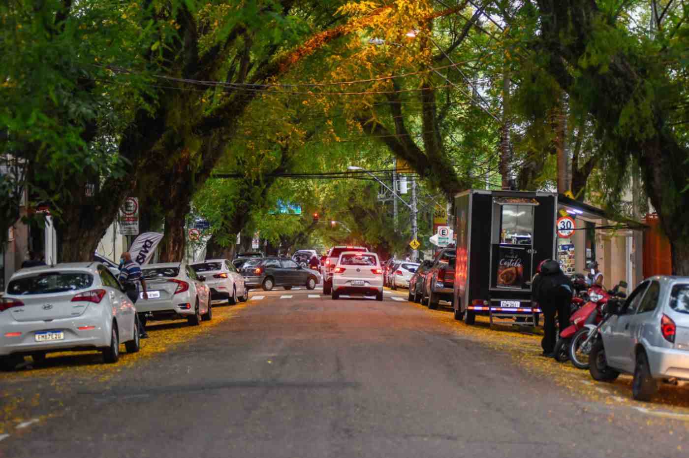 As árvores da Rua Anchieta, em Jundiaí