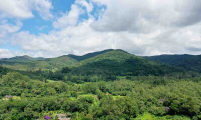 A Serra do Japi, localizada em Jundiaí - SP, exibe colinas verdes exuberantes sob um céu azul com nuvens brancas.
