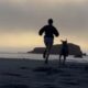 Cachorro corre maratona com tutora
