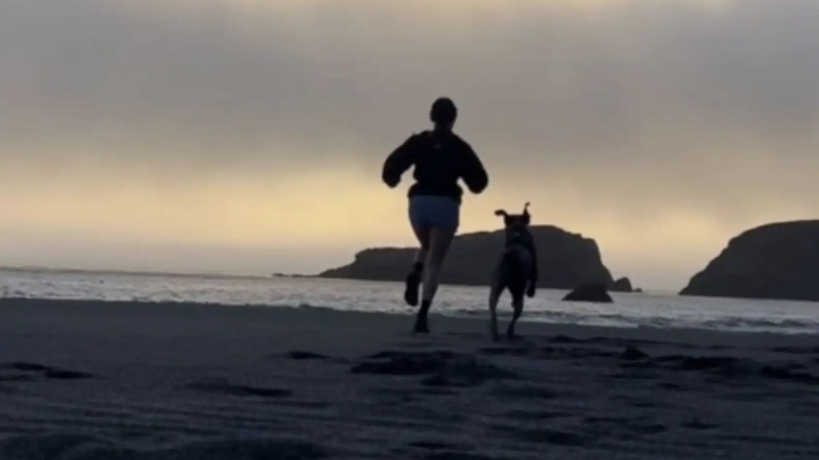 Cachorro corre maratona com tutora