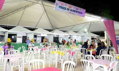 Festa das Orquídeas 2024 de Várzea Paulista terá entidades filantrópicas na praça de alimentação