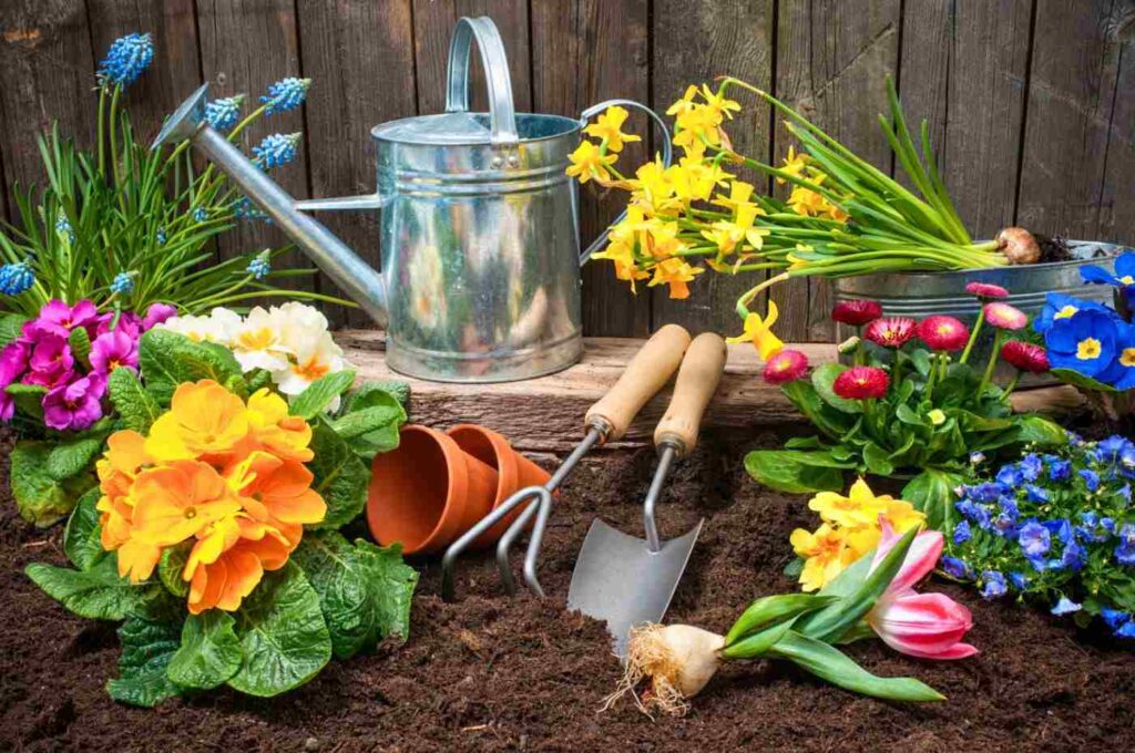 Botânica: flores diversas e utensílios de jardinagem