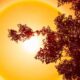 21 de julho de 2024 foi registrado como o dia mais quente da história do planeta Terra