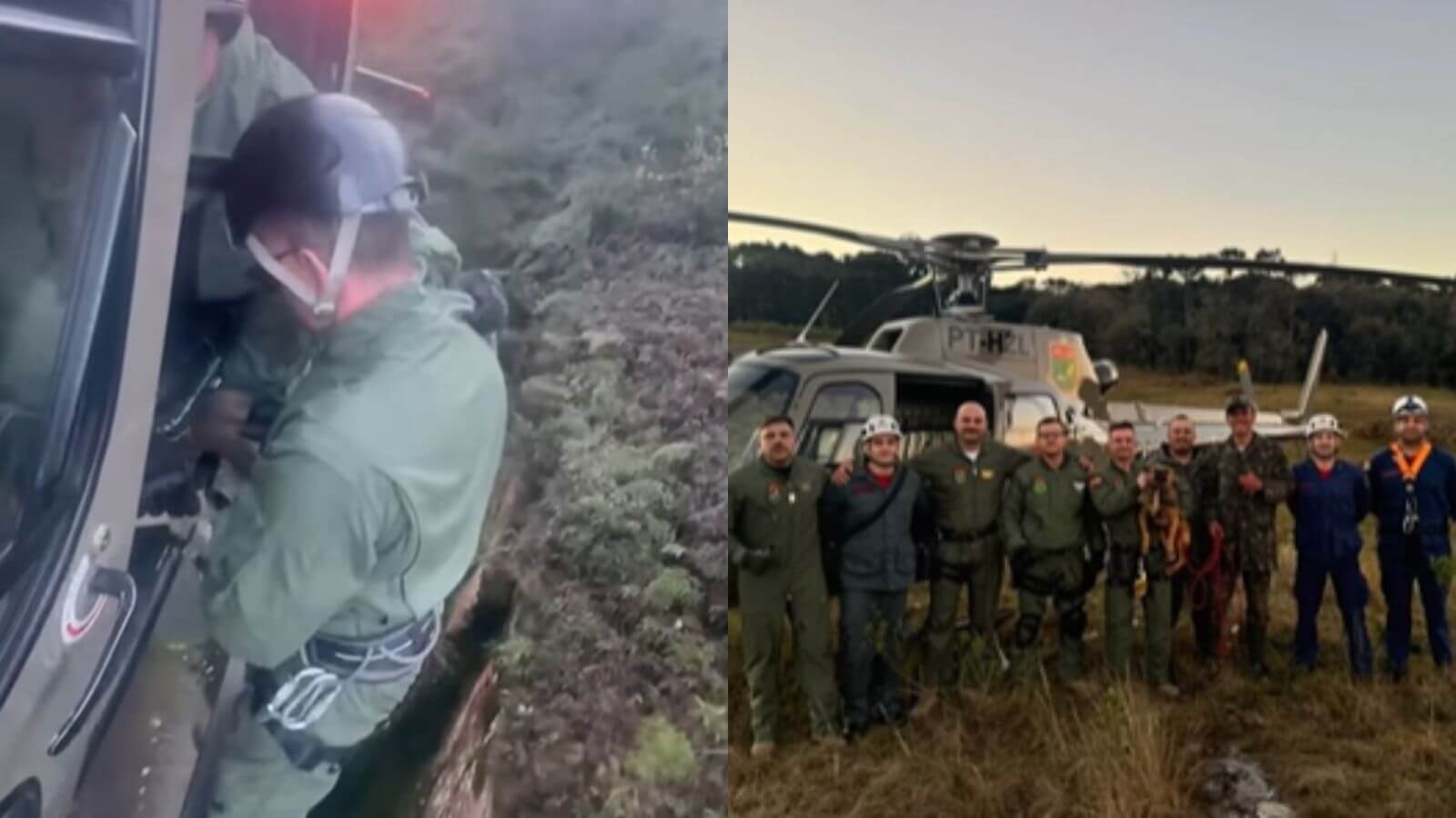 Cachorro resgatado por helicóptero águia