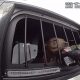 Cachorro é resgatado de carro quente