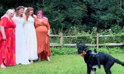 Cachorro fica responsável por gravar casamento de tutoras