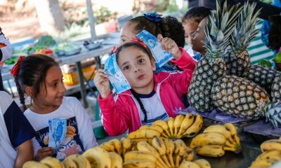 Crianças da rede municipal de Jundiaí visitam feira interativa